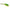 POPPER BROASCA ARTIFICIALA RAPTURE 6CM 15GR CULOARE LEOP FLUO