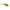 POPPER BROASCA RAPTURE 6CM 15GR CULOARE WEED