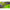 Porumb Artificial Korda Slow Sinking Corn Citrus Zing Lime 12buc/plic