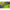 PORUMB ARTIFICIAL KORDA SLOW SINKING CORN CITRUS ZING LIME 12BUC/PLIC