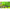 Porumb Artificial Korda Slow Sinking Corn Citrus Zing Lime 12buc/plic