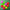 Porumb Flotant Enterprise Et Fluoro Mixed Bouyant Corn