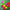 PORUMB FLOTANT ENTERPRISE ET FLUORO MIXED BOUYANT CORN