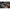 Prastie Matrix Slik Catapults Large - Heavy Elastic 3.2mm
