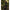 Pantalon Korda Kore Heavy, Dark Kamo, Marime S
