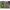 Pantaloni Carp Spirit Jogging Verde L