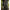 Pantaloni Fox Womens Camo Joggers, Marime M