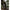 Pantaloni Korda Insulated Jogger, Dark Olive, Marime S