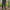 Pantaloni Nash Zt Wind Chill Joggers Camo, Marime L