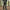 Pantaloni Nash Zt Wind Chill Joggers Camo, Marime M