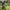 Pantaloni Nash Zt Wind Chill Joggers Camo, Marime M