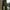 Pantaloni Nash Make It Happen Joggers Box Logo Green, Marime S