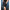 Pantaloni Scurti Fox Collection Lw Swim Shorts Black, Marimea Xxl
