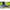 Papuci Preston Hydrotech Clogs Grey, Marimea 43