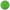 Pasta Berkley Powerbait Floating, Spring Green 28, 50g