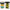 Pasta Berkley Powerbait Trout Bait, Bumblebee, 50g