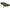 Pat Avid Benchmark Ultra Standard 6 Legs Bed, 80x200x38-48cm