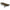 Pat Avid Carp Revolve Bed 6 Picioare 200x80x42cm
