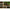 Pat Avid Carp Revolve Bed 6 Picioare 200x80x42cm