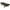 Pat Avid Carp Revolve System, 6 Picioare, 200x80x35cm
