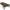 Pat Avid Carp Revolve X Bed 8 Picioare 210x90x40cm
