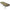 Pat Carp Spirit Blax 8 Legs Camo Bed
