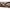 Pat+sac Dormit Starbaits Sleeping System 3/5 Season