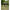 Pavilion Tip Cort Fox Air Frame Social Shelter, 2.5x2.5x2.3m