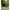 Pavilion Tip Cort Fox Air Frame Social Shelter, 2.5x2.5x2.3m