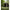 Pavilion Tip Cort Fox Air Frame Social Shelter, 2.5x2.5x2.3m
