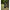 Pavilion Tip Cort Fox Air Frame Social Shelter, 2.5x2.5x2.3m