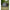 Pavilion Tip Cort Fox Air Frame Social Shelter, 2.5x2.5x2.3m