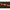 Pelete Lk Baits Cuc!, Ananas, 40g
