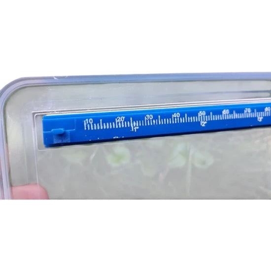 Penar Formax Elegance Pentru Carlige Legate, 36x13x3.5cm