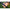 Pichet Korum Twist Lock Bankstick, 70cm