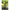 Pichet Telescopic Zebco Trophy Screwpoint Bankstick, 70-125cm