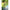 Pichet Telescopic Zebco Trophy Stainless Steel Bankstick, 60-100cm