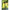 Pichet Telescopic Zebco Trophy Stainless Steel Bankstick, 60-100cm