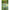 Pichet Telescopic Zebco Trophy Tele V Rod Holder, 60-100cm