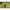 Picheti Korum Power Banksticks, 30cm