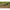 Picheti Korum Power Banksticks, 45cm