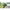 Picheti Korum Power Twist Banksticks, 60cm