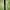 Picheti Masurare Distanta Fox Pro Marker Sticks