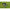Picior Telescopic Preston Absolute St Leg, Negru, 20cm