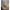 Plasa Rezerva Minciog Fox Eos-x, 42inch