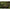Plumb Culisant Korda Intelligent Backleads, 7g, 3buc/pac