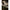 Plumb Culisant Korda Solidz Inline Pva, 168g, 1buc/pac