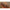 Plumb Guru Inline 10g, 2buc/pac