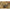 Plumb Korda Cog Flat Distance, 4oz/112g