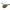 Plumb Korda Cog Flat Pear, 2oz/56g